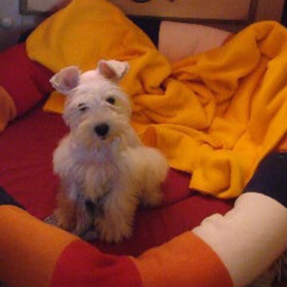 Meet your Posher, Cintia - Picture 2 of 3